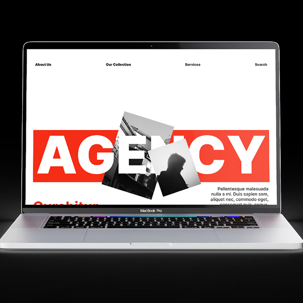 Product Gallery Image