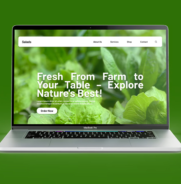 Product Gallery Image